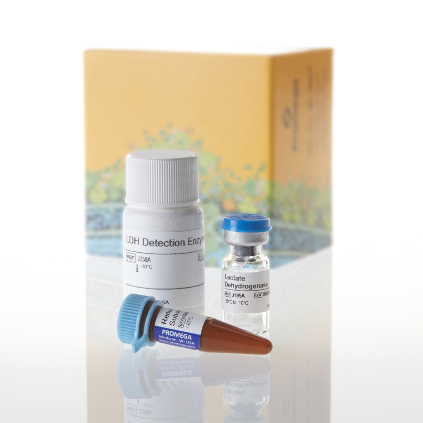 LDH-Glo Cytotoxicity Assay Nerliens Meszansky AS